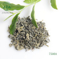 Wholesale organic refined chinese tea gift